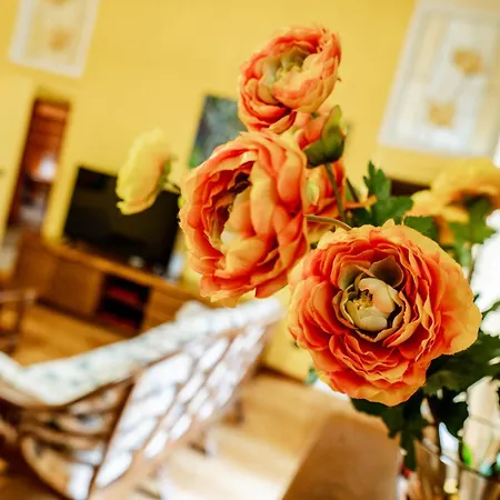 Luxe Near Milano, Rho Fiera E Mxp * Busto Arsizio